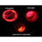 O-Ring Style LED Tail Lights with Sequential Indicators for Volkswagen New Beetle 1998–2005