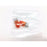 LED Side Marker Clear Lens Lights Pair Compatible with 2002-2003 Subaru Impreza WRX STI Bugeye