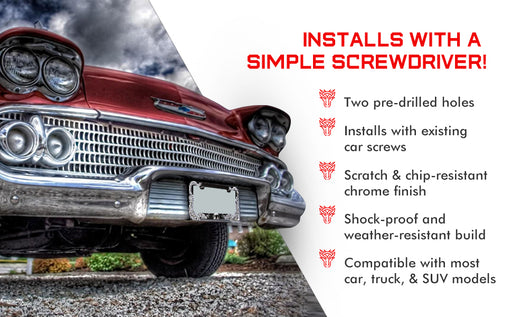 Aragon License Plate
