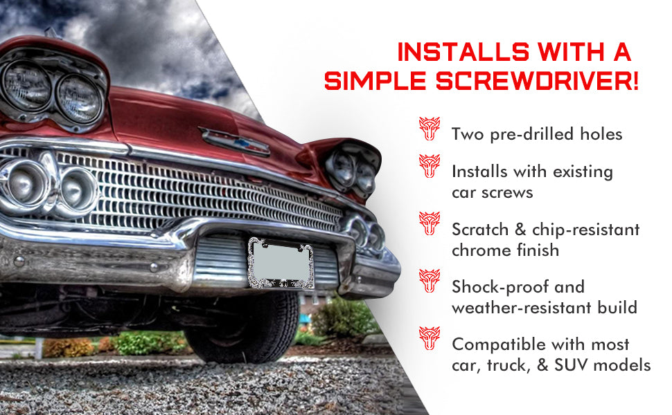 Aragon License Plate
